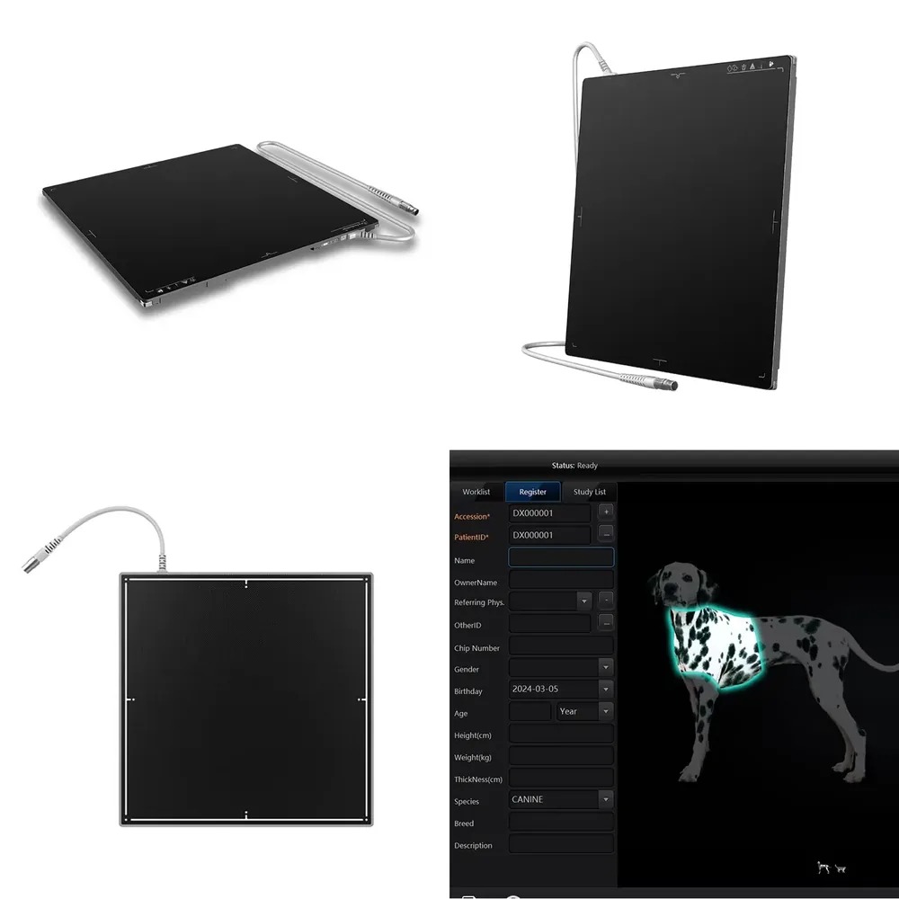 ลดราคา! แผ่นรับภาพเอ็กซ์เรย์แบ - Tech Accessories Brands บทวิจารณ์และราคา